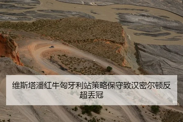 维斯塔潘红牛匈牙利站策略保守致汉密尔顿反超丢冠